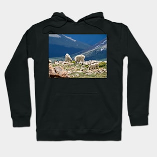 Lunch on the top of mountains Hoodie